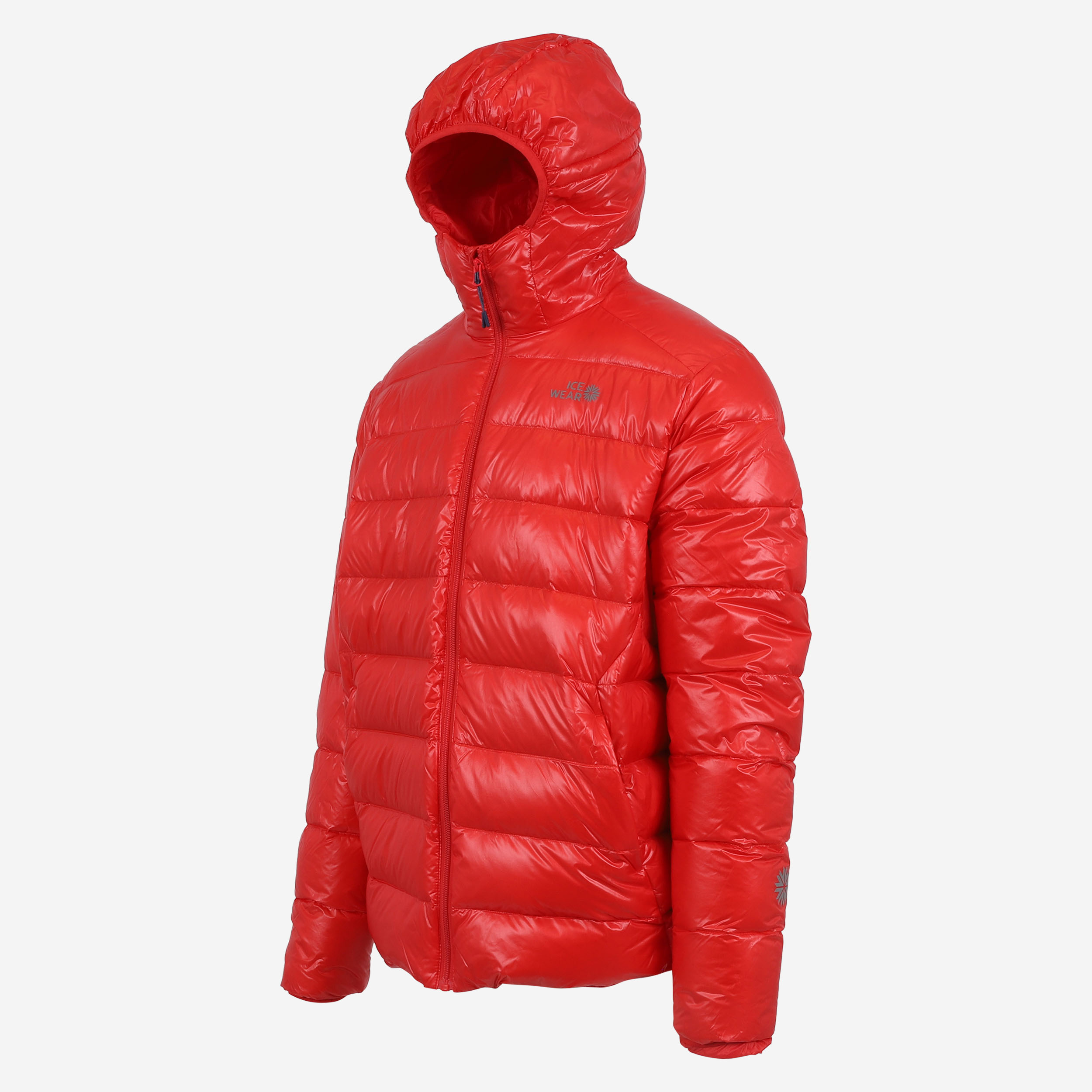BARDABUNGA46-SHINY-Gloss-winter-down-jacket-iceland_68.jpeg